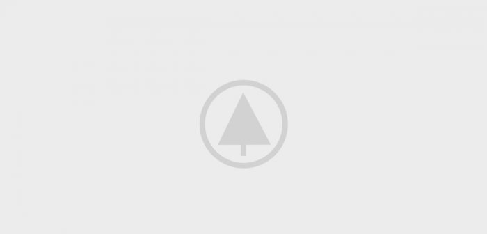 wood-gallery-placeholder-4 wood-gallery-placeholder-4